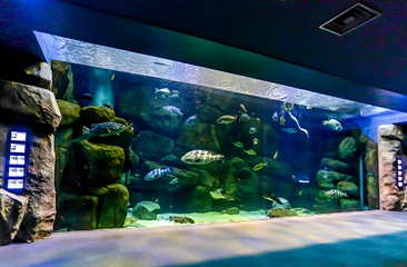 宮島水族館